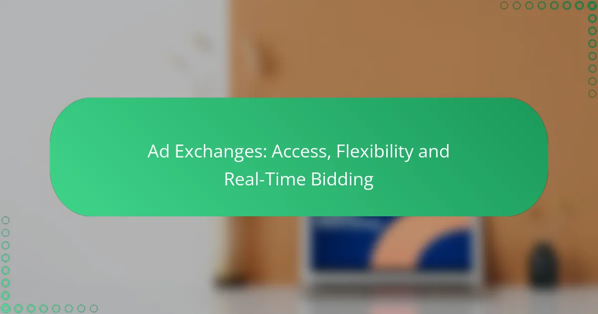 Ad Exchanges: Access, Flexibility and Real-Time Bidding