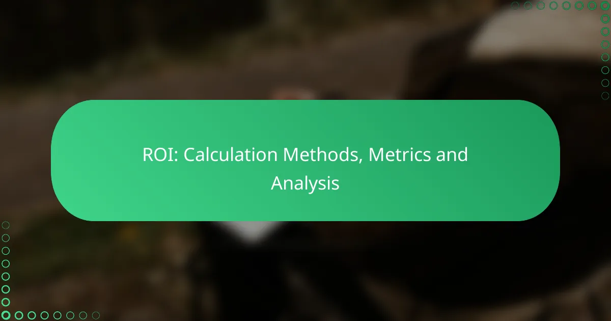 ROI: Calculation Methods, Metrics and Analysis