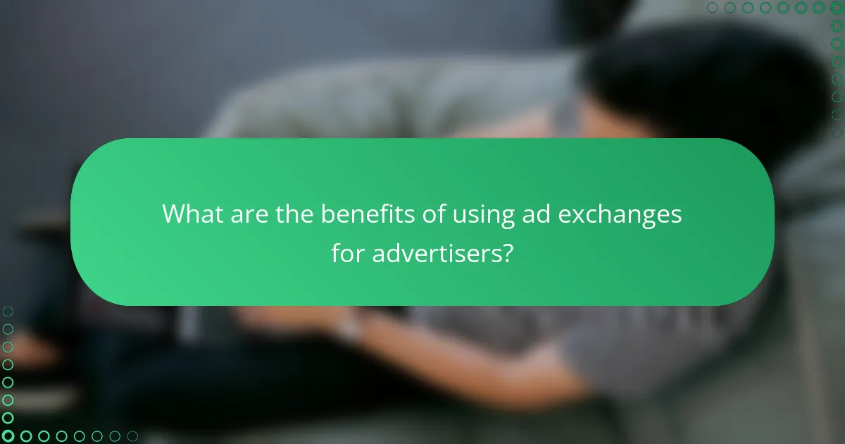 What are the benefits of using ad exchanges for advertisers?